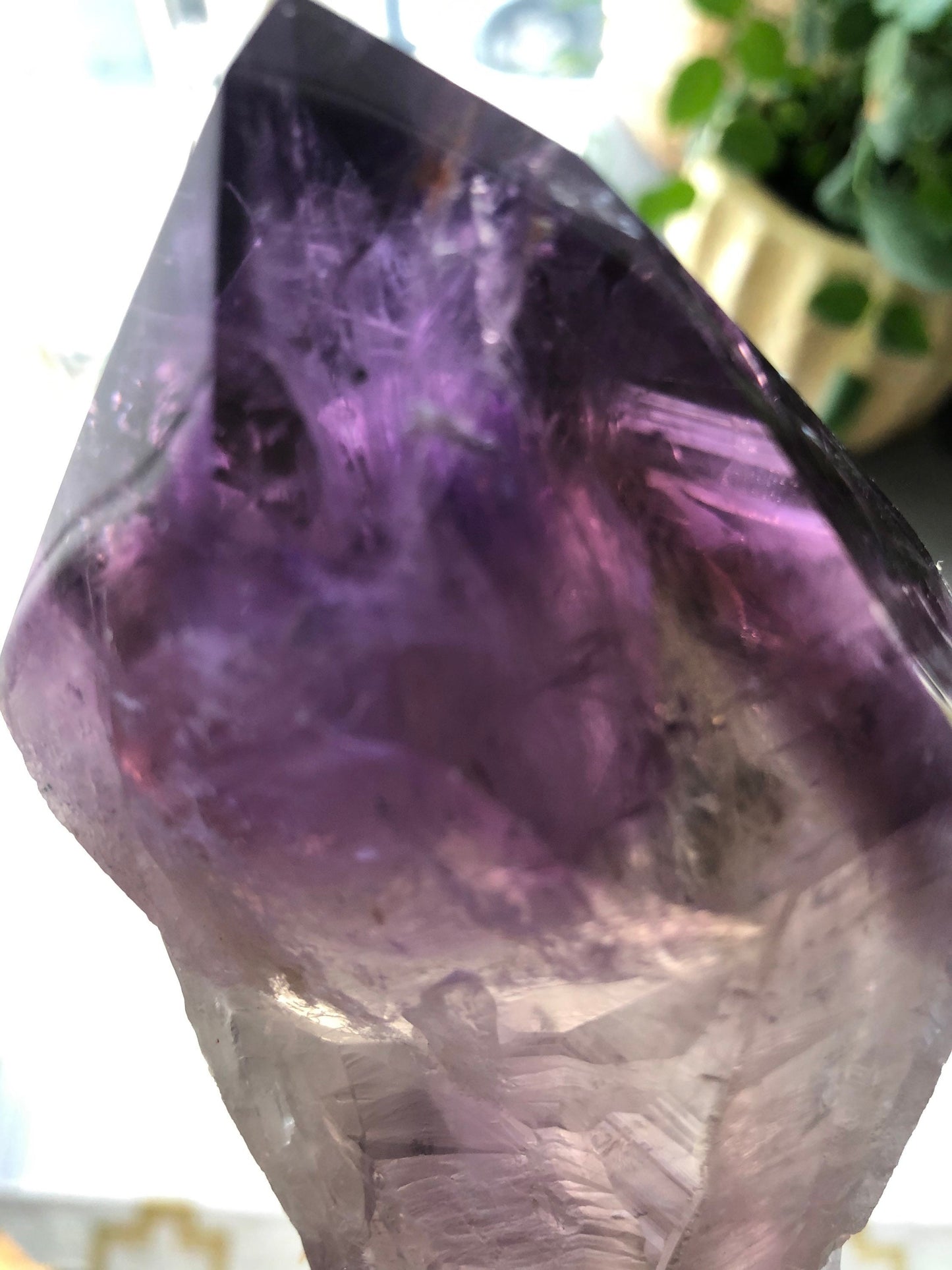 Large Amethyst dog tooth flame/point.