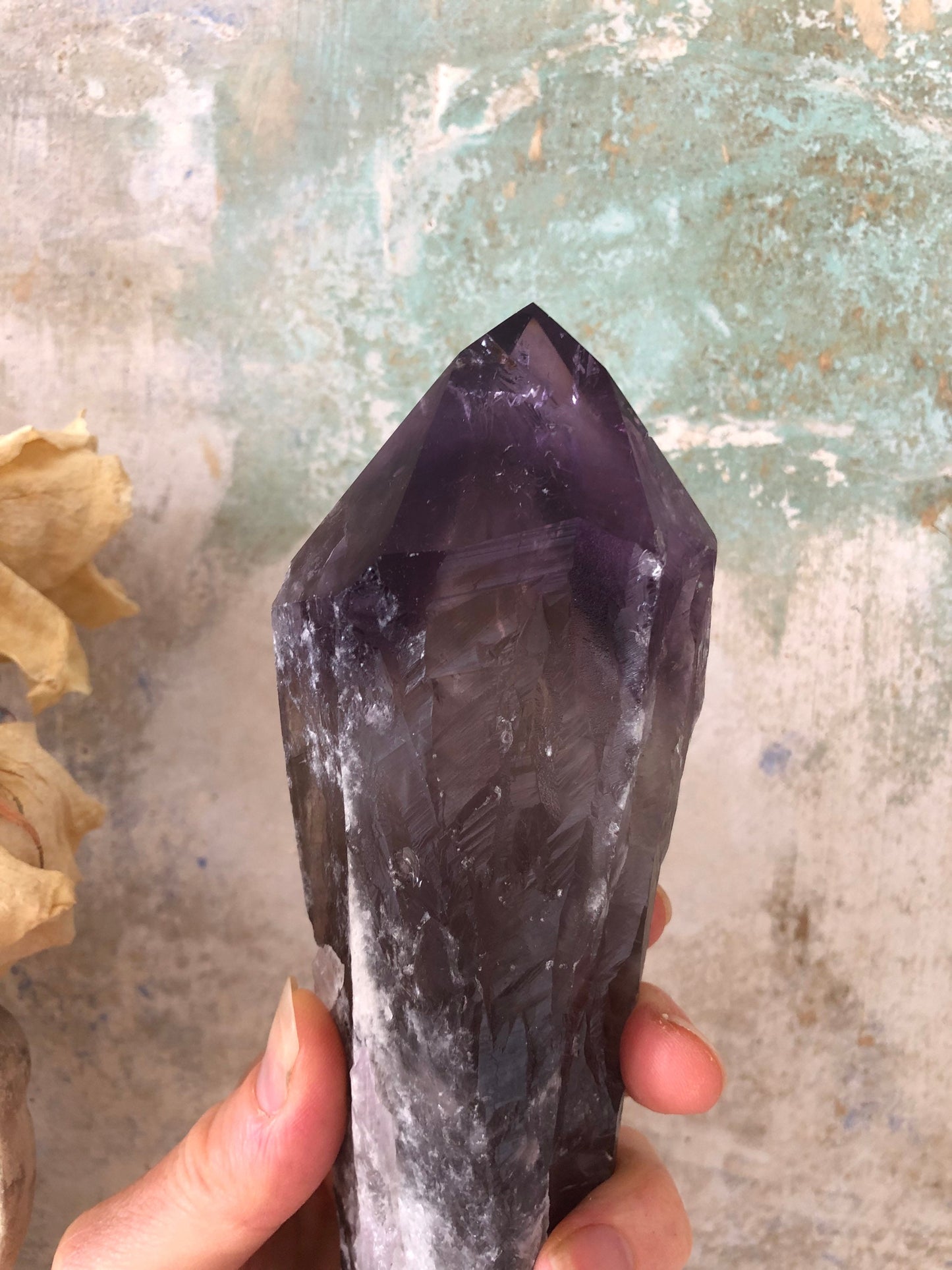 Large Amethyst dog tooth flame/point.